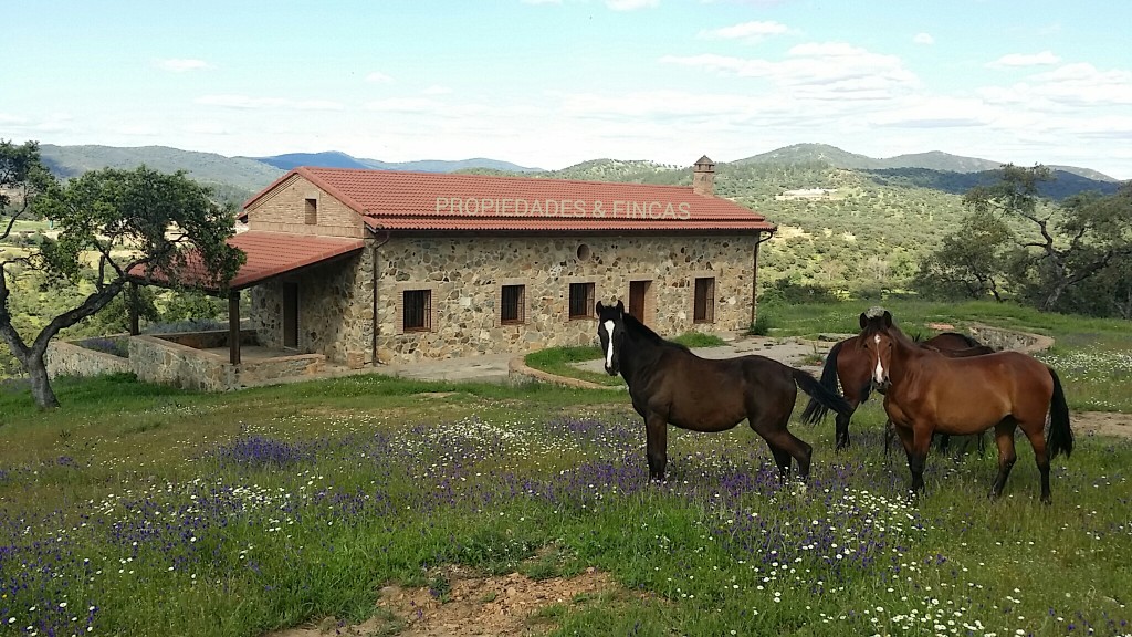 Bonita finca de recreo de 20 hectáreas. con dos casas de